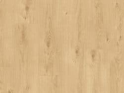 Lifestyle Interior Vitality Style  553