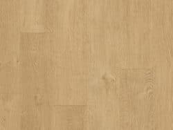 Lifestyle Interior Vitality Style  567