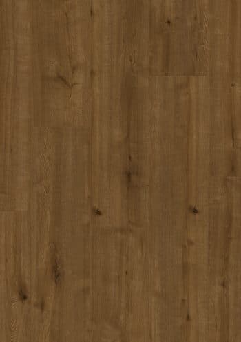 Lifestyle Interior Vitality Style  569