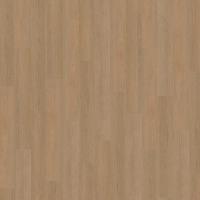 Belakos Futuro Rigid click  500