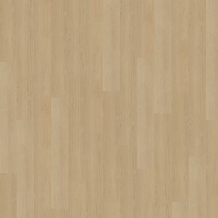 Belakos Futuro Rigid click  510