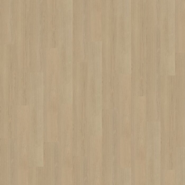 Belakos Futuro Rigid click  520