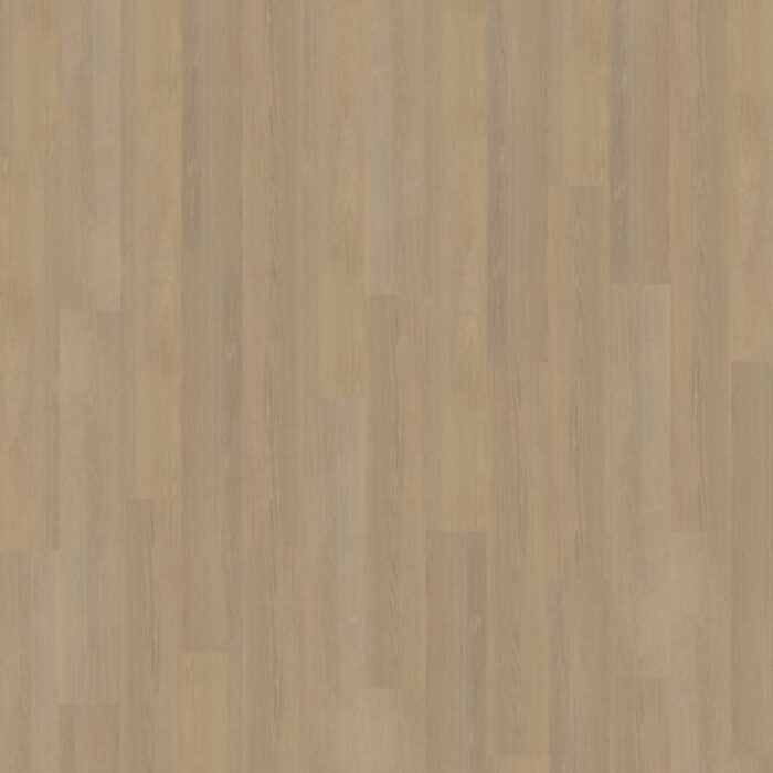 Belakos Futuro Rigid click  530