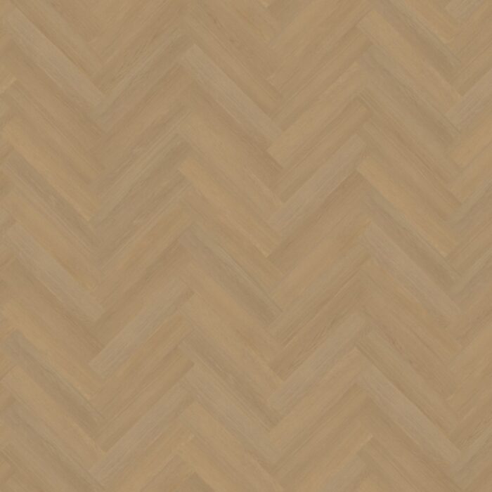 Belakos Futuro Visgraat XL Rigid click  50