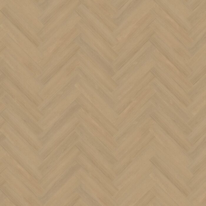 Belakos Futuro Visgraat XL Rigid click  51