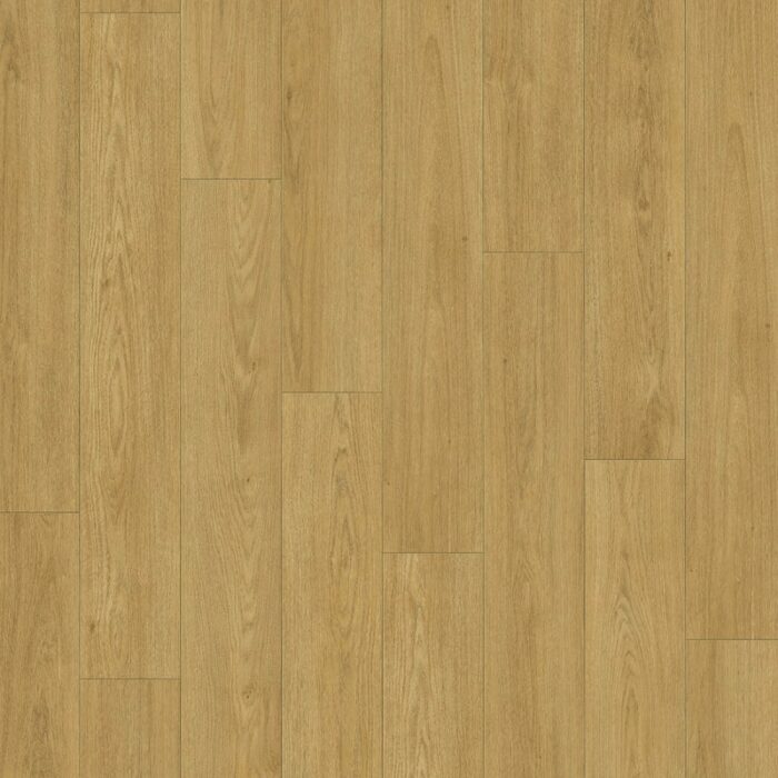 Douwes Dekker Sympathiek Brede plank Kaviaar 03481