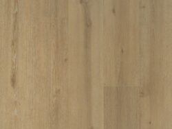 Douwes Dekker Trots Solide plank Laurier 04682