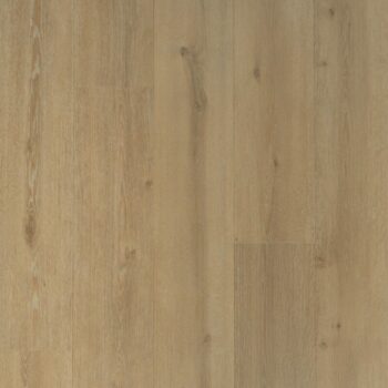 Douwes Dekker Trots Solide plank Laurier 04682