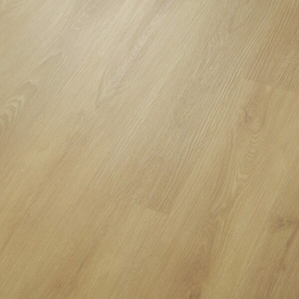 CoreTec ProPlus 1200 Bellagio 50-RLV-1220