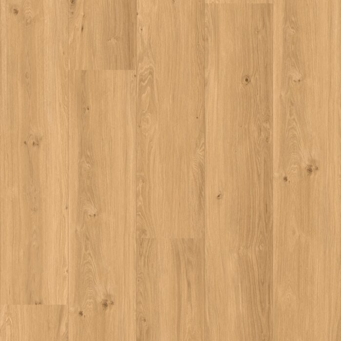 CoreTec Xl-End Chambord 50-LVREXL-4358