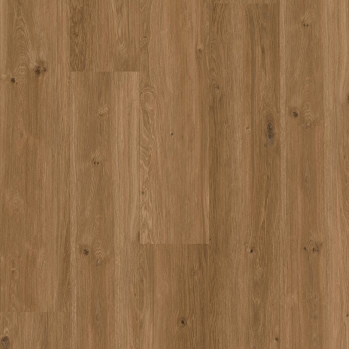 CoreTec Xl-End Saumur 50-LVREXL-4384