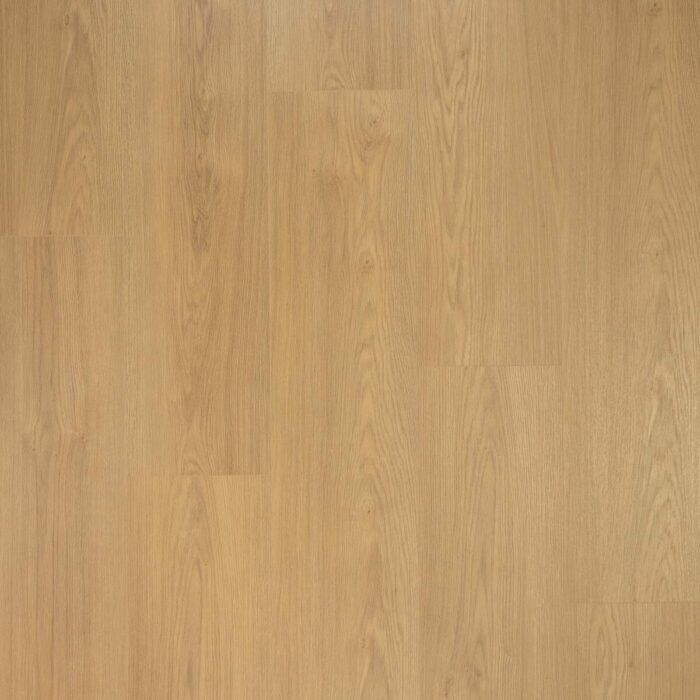 Douwes Dekker Puur Extra lange plank Kaviaar 03489