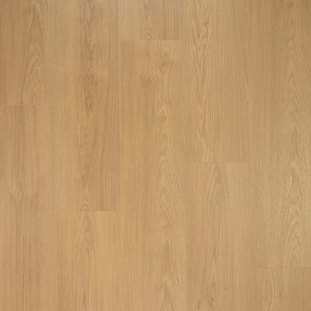 Douwes Dekker Puur Extra lange plank Kaviaar 03489