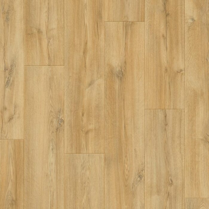 Otium Dahlia Dahlia 03447