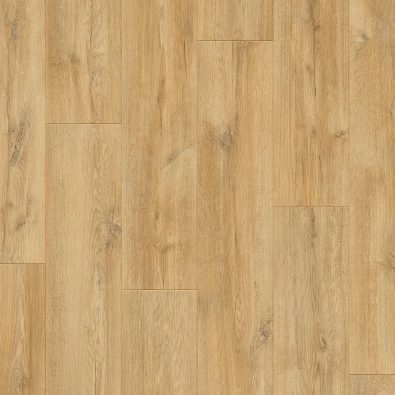 Otium Dahlia Dahlia 03447