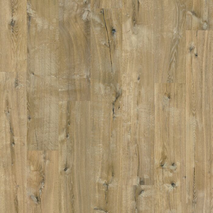 Quick-Step Impressive Rogge Eik IM8257