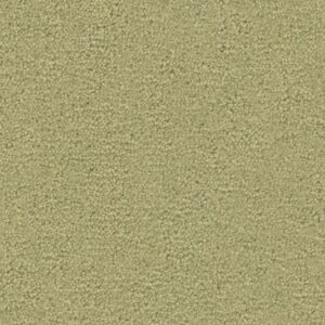 Ambiant Tapijt Charmant lentegroen 0964