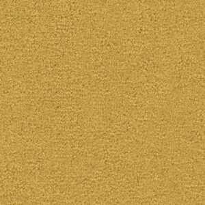 Ambiant Tapijt Charmant mango 0855