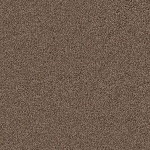 Ambiant Tapijt Dallas bruin 0600