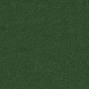 Ambiant Tapijt Glendale groen 0900