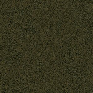 Ambiant Tapijt Nevada groen 0900