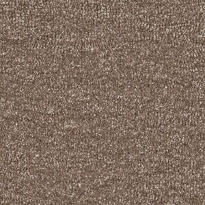 Ambiant Tapijt Nifty bruin 0600