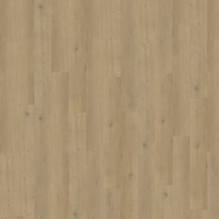 Belakos Attico Rigid click  870