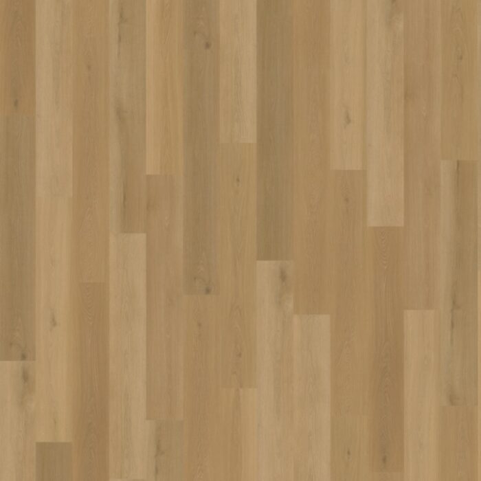 Belakos Borgo Rigid Click  320