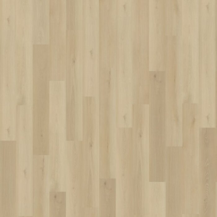 Belakos Borgo Rigid Click  330