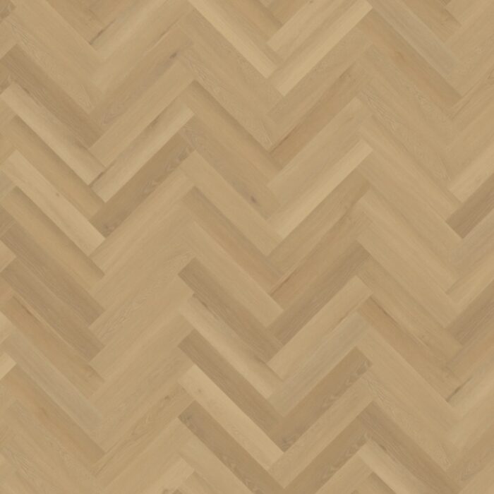 Belakos Borgo Visgraat XL Rigid click  30