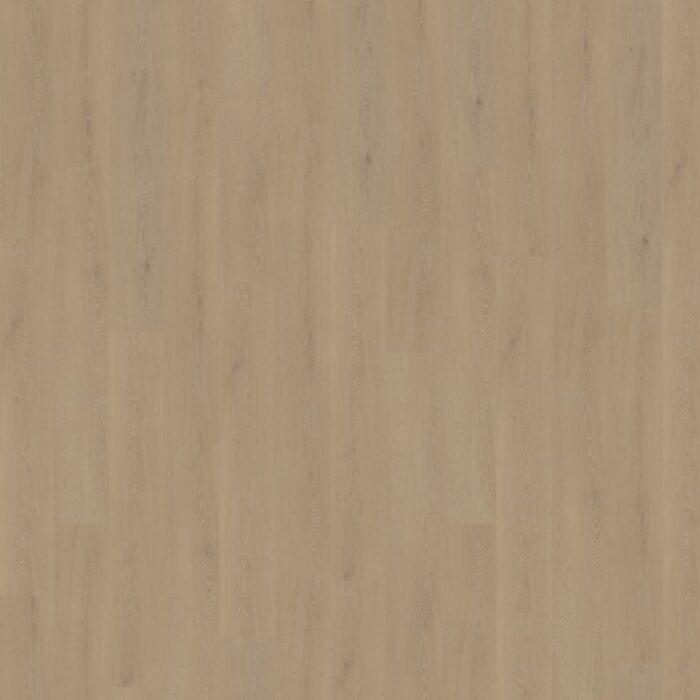 Belakos Cervo Rigid Click  210