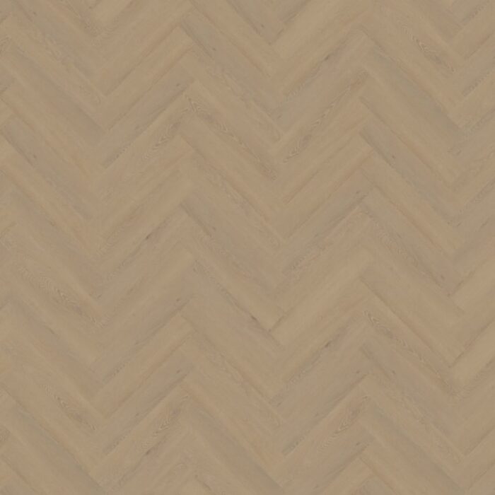 Belakos Cervo Visgraat XL Rigid click  21