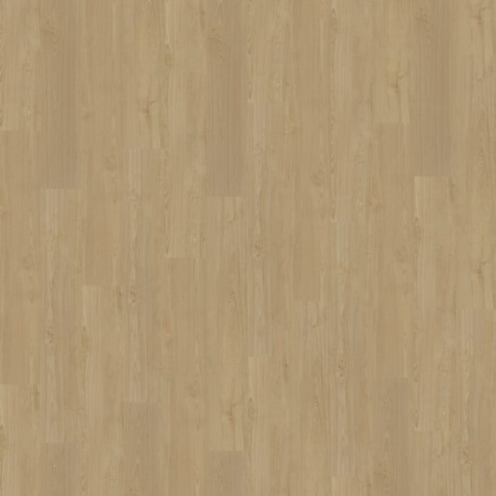 Belakos Portico Rigid click  560