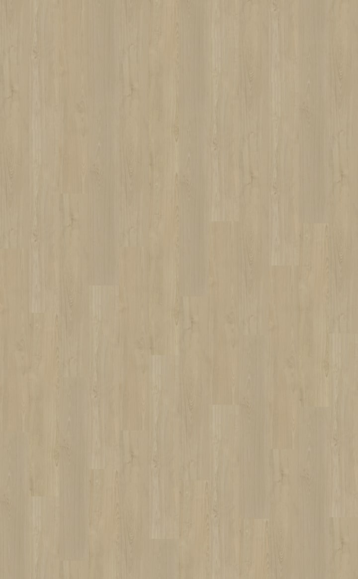 Belakos Portico Rigid click 570