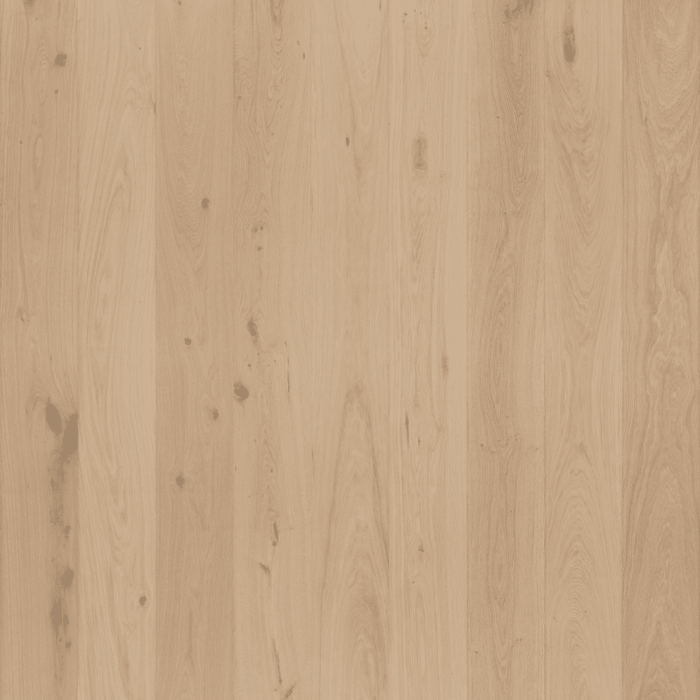 Floorlife Venice Plank Rustiek Onbehandeld 4400 5048101419