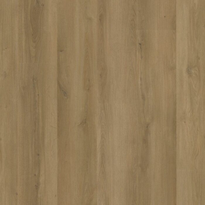Ambiant Espero Click SRC Dark Oak 6621291219
