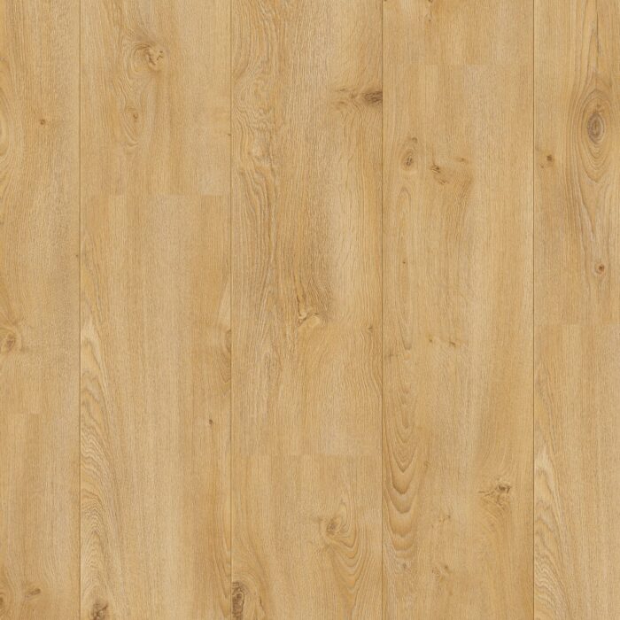 Beautifloor Henegouwen Bury 400111263