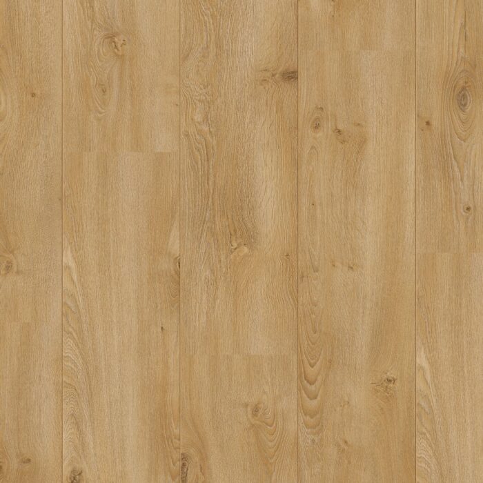 Beautifloor Henegouwen Evernijs 400111264