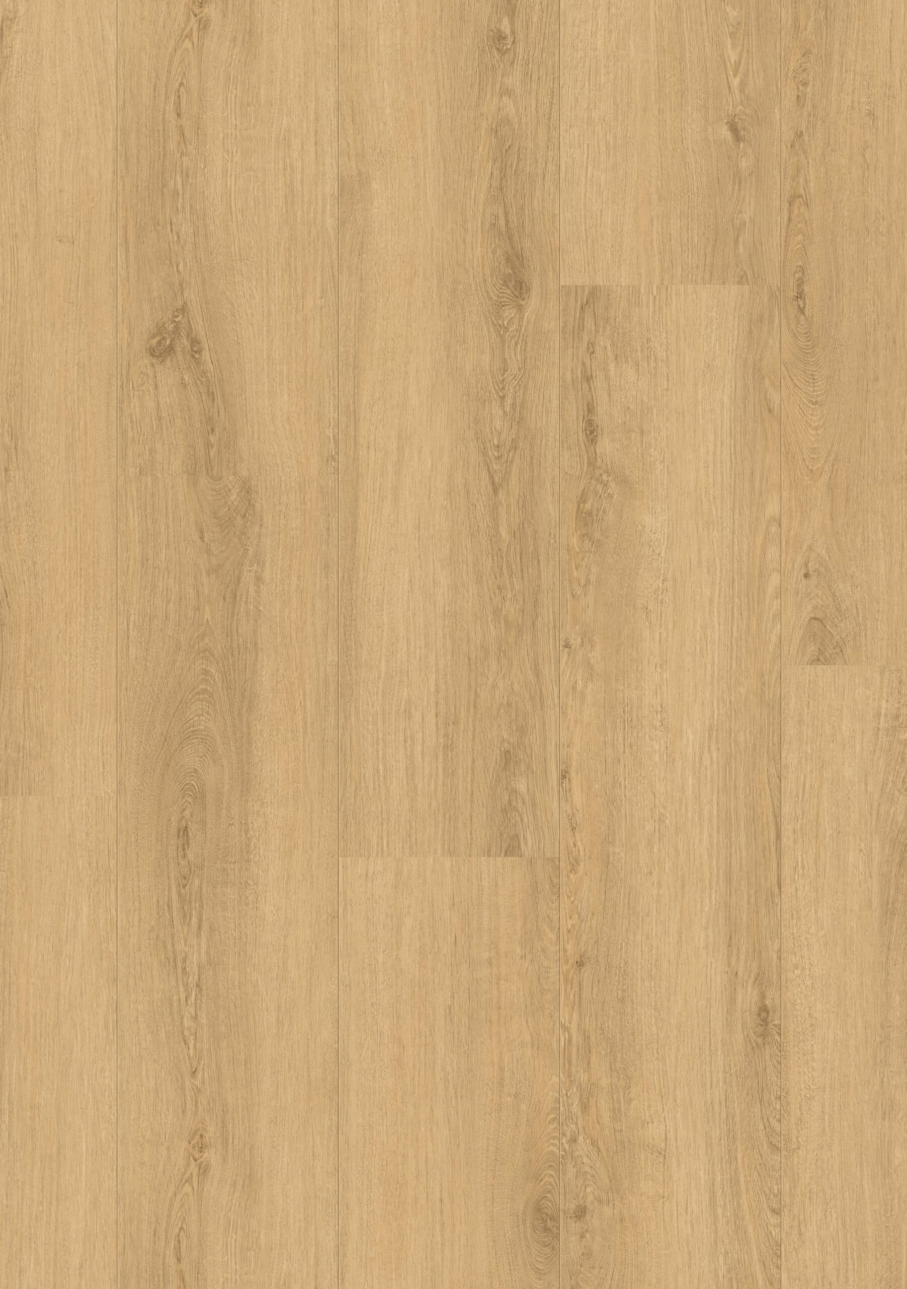 Beautifloor Henegouwen Herzeeuw 400111217