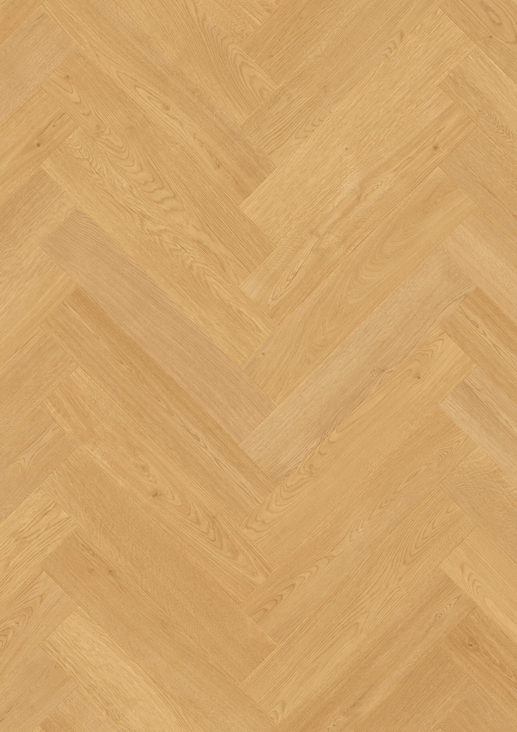 Beautifloor Vlaams-Brabant (visgraat) Landen Naturel eiken 400110721