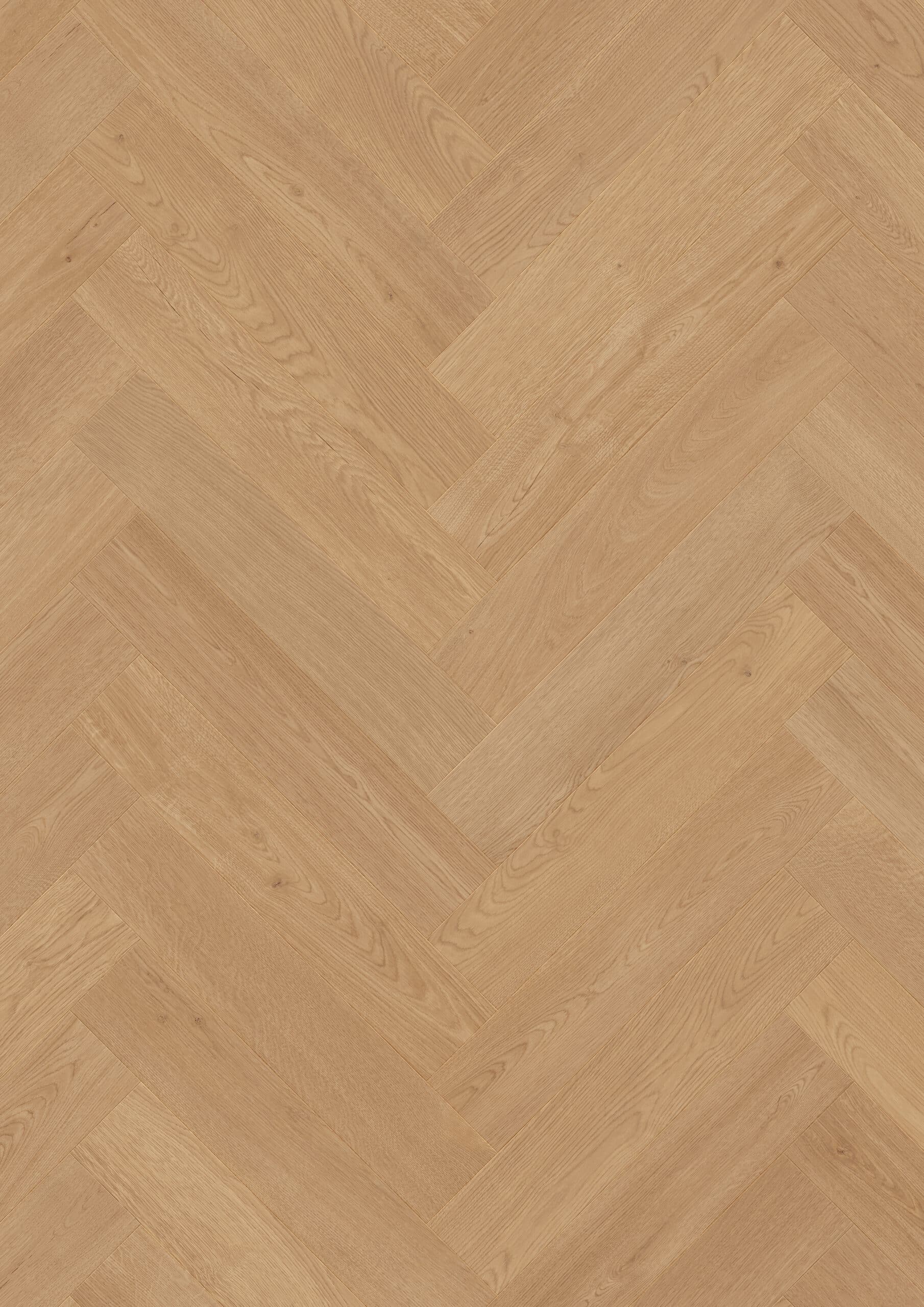 Beautifloor Vlaams-Brabant (visgraat) Leuven 400110792