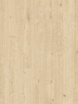 Beautifloor West-Vlaanderen Bovekerke 400107320