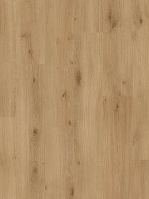 Beautifloor West-Vlaanderen Krombeke 400107325