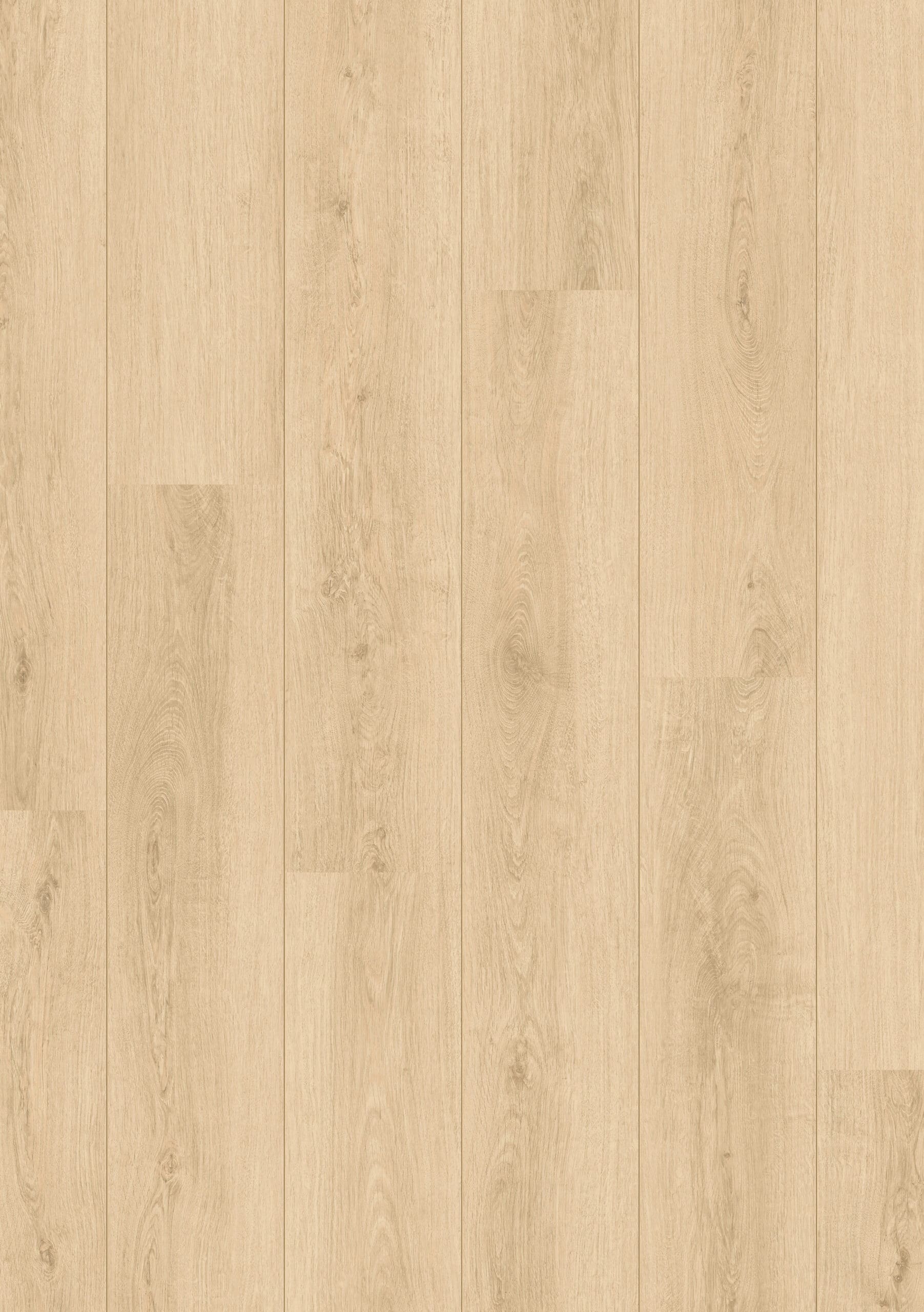 Beautifloor West-Vlaanderen Poperinge 400111267