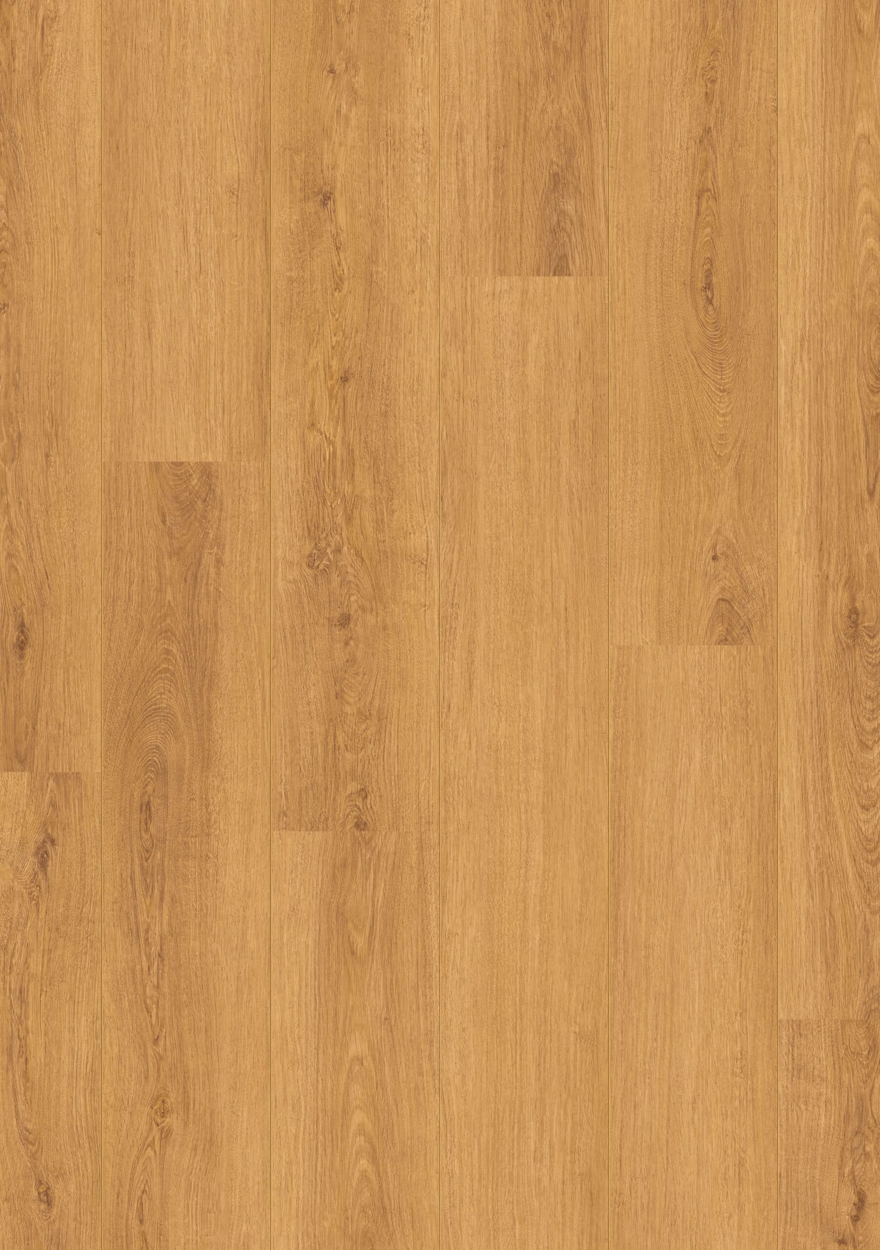 Beautifloor West-Vlaanderen Vleteren 400111265
