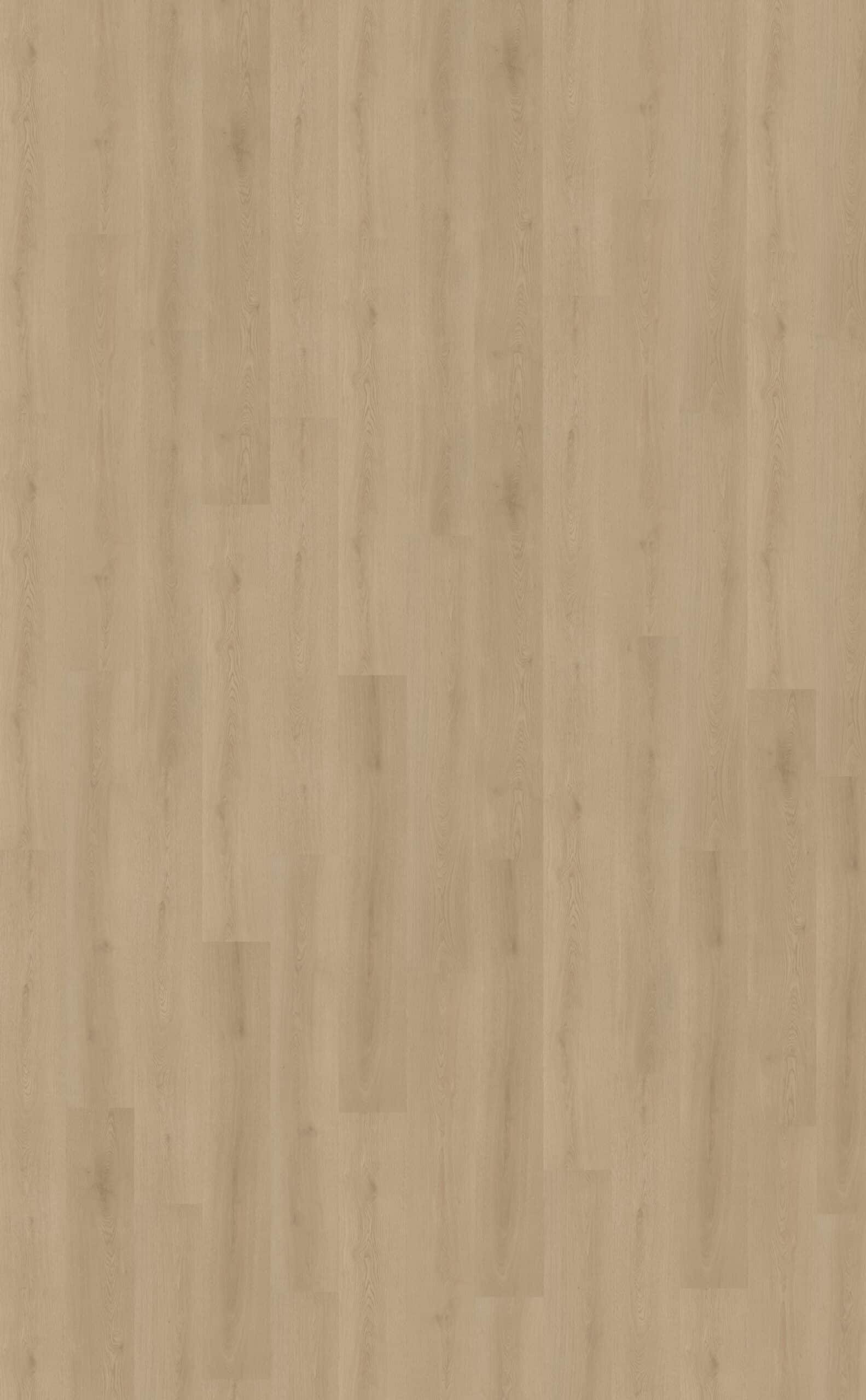Belakos Puro Rigid Click Beige 450 B450