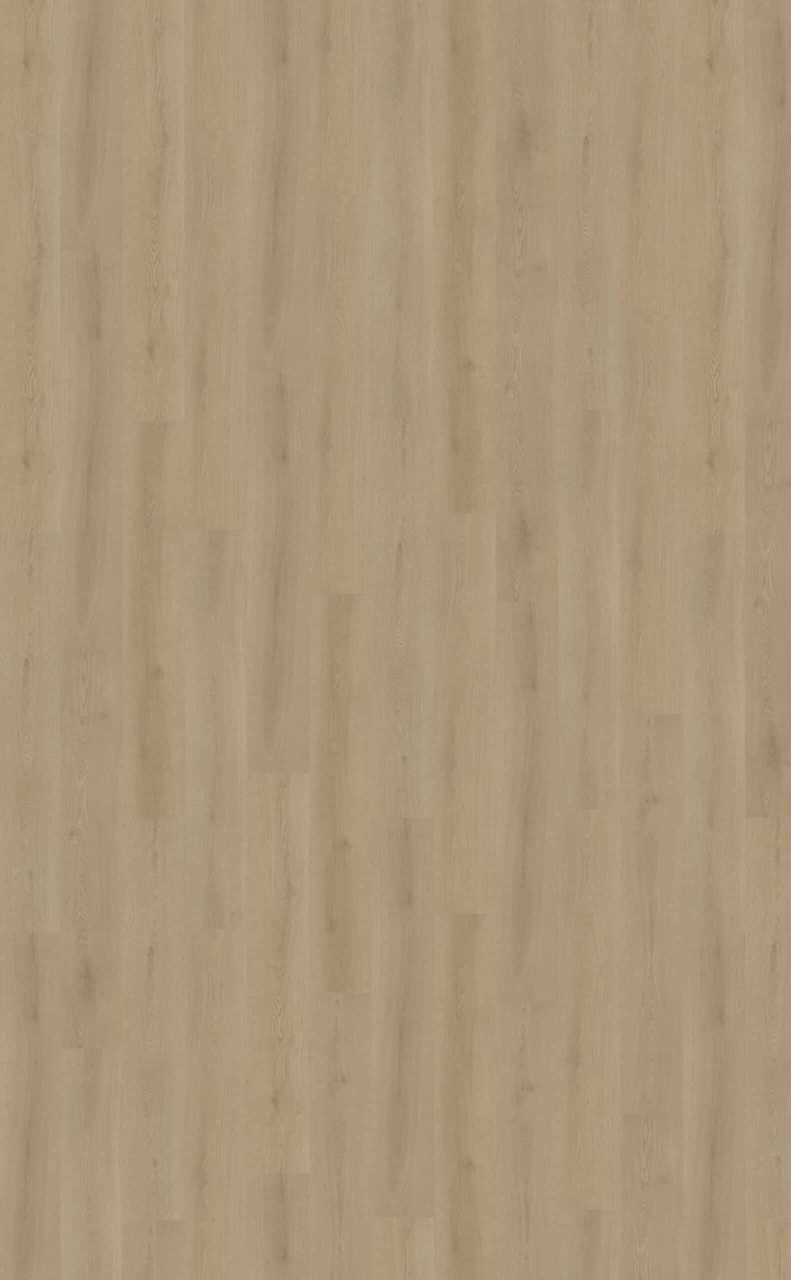 Belakos Puro Rigid Click Beige 460 B460