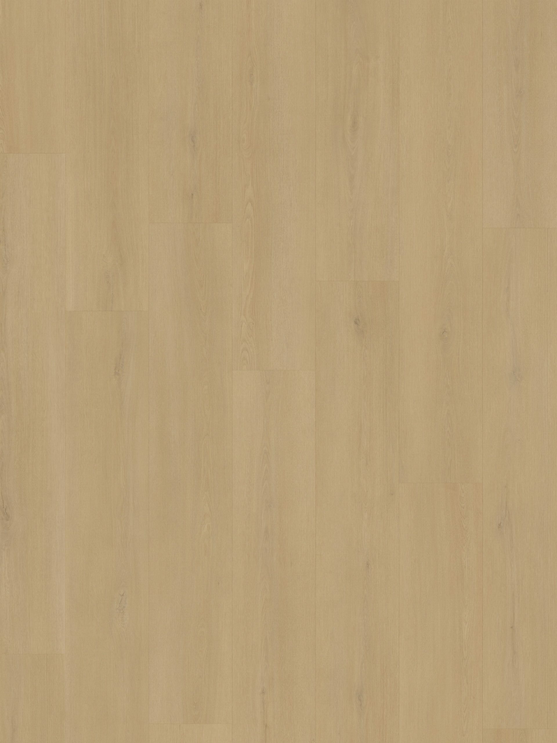 Ground Studio Pure Oak Plank Click Warm Sand PC.20.40.2